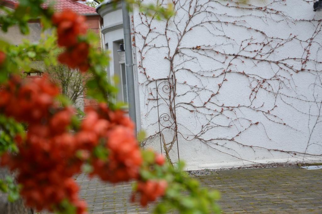 Villarada Łagów エクステリア 写真