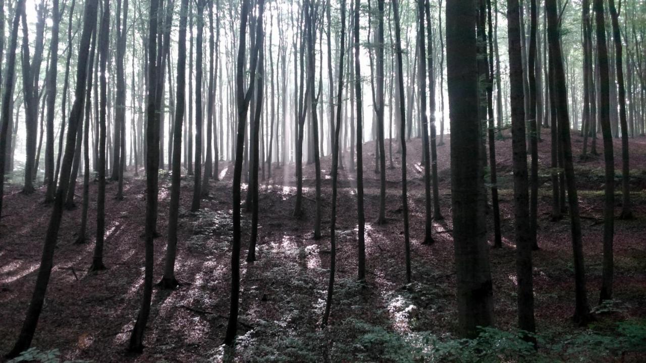 Villarada Łagów エクステリア 写真